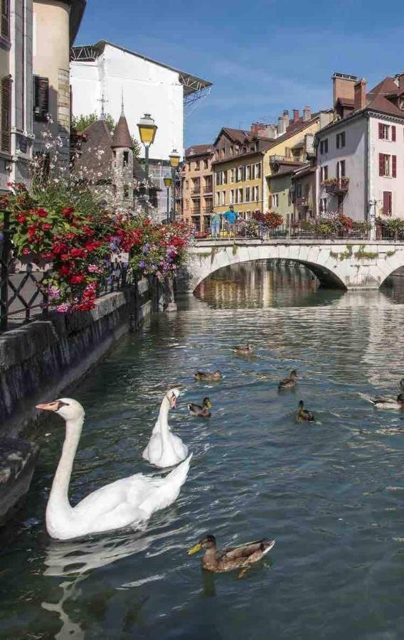 Alpin Mimosa 5 Min Vieille Appartement Annecy